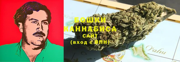стаф Тавда