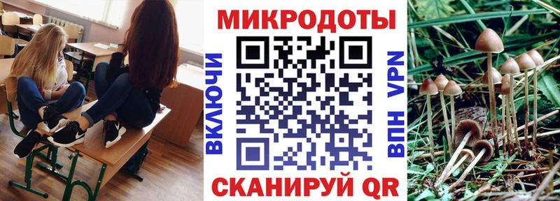 наркошоп  Камень-на-Оби  Псилоцибиновые грибы Cubensis 